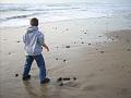 Oregon coast 049